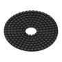 253-816 - DP 100 WET D100 Diamant-Schleifpad