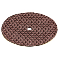 419-095 - DP 100 DRY D225 Pad abraivo diamantato