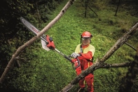 532-887 - GPS-A Élagueuse sur perche