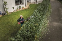 532-888 - GPS-A Tagliasiepi