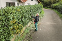 532-888 - GPS-A Tagliasiepi