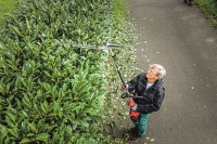 532-888 - GPS-A Tagliasiepi