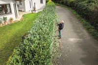 532-888 - GPS-A Tagliasiepi