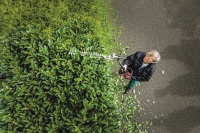 532-888 - GPS-A Tagliasiepi